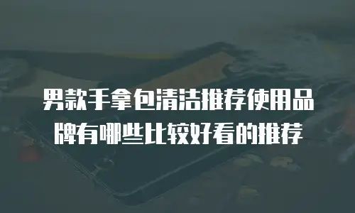 男款手拿包清洁推荐使用品牌有哪些比较好看的推荐