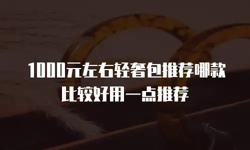 1000元左右轻奢包推荐哪款比较好用一点推荐
