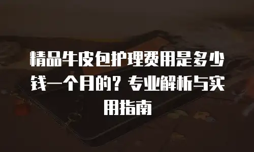 精品牛皮包护理费用是多少钱一个月的？专业解析与实用指南