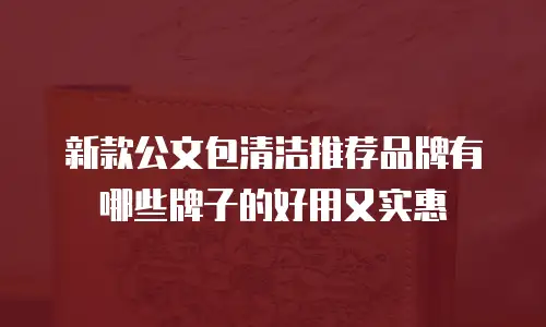 新款公文包清洁推荐品牌有哪些牌子的好用又实惠