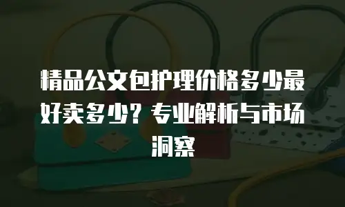 精品公文包护理价格多少最好卖多少？专业解析与市场洞察
