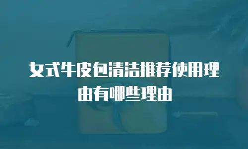 女式牛皮包清洁推荐使用理由有哪些理由