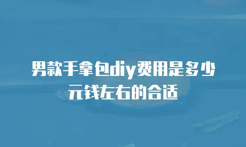 男款手拿包diy费用是多少元钱左右的合适