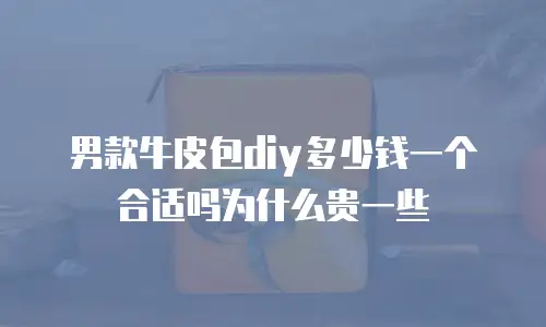 男款牛皮包diy多少钱一个合适吗为什么贵一些