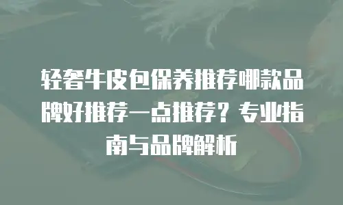 轻奢牛皮包保养推荐哪款品牌好推荐一点推荐？专业指南与品牌解析