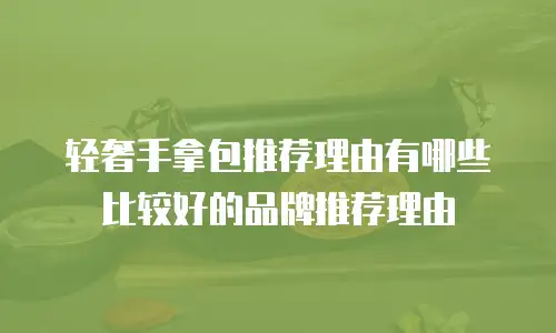 轻奢手拿包推荐理由有哪些比较好的品牌推荐理由