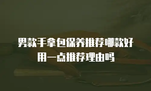 男款手拿包保养推荐哪款好用一点推荐理由吗
