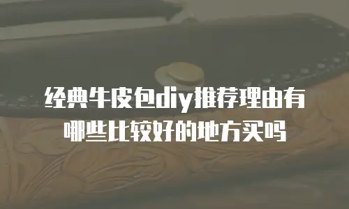 经典牛皮包diy推荐理由有哪些比较好的地方买吗
