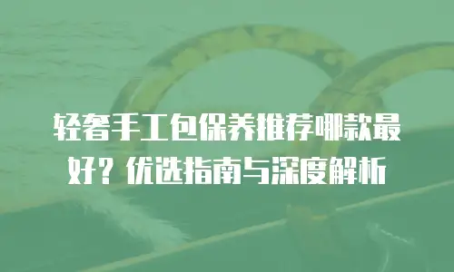 轻奢手工包保养推荐哪款最好？优选指南与深度解析