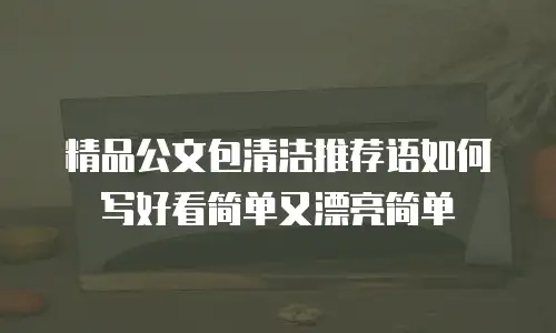 精品公文包清洁推荐语如何写好看简单又漂亮简单