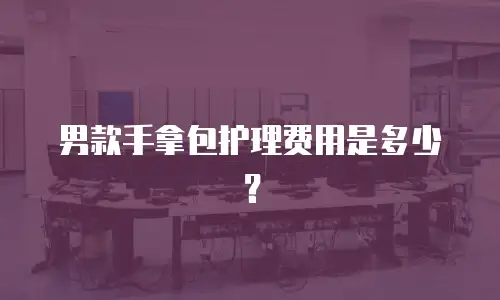 男款手拿包护理费用是多少？