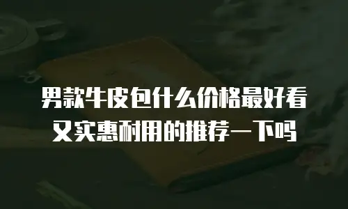 男款牛皮包什么价格最好看又实惠耐用的推荐一下吗