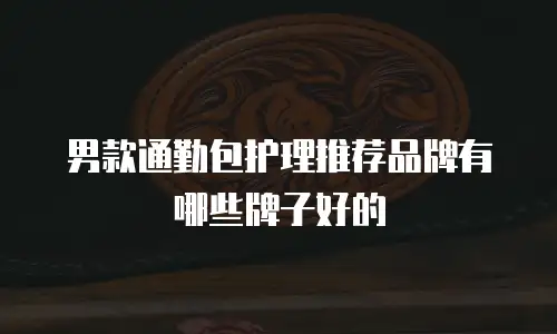 男款通勤包护理推荐品牌有哪些牌子好的