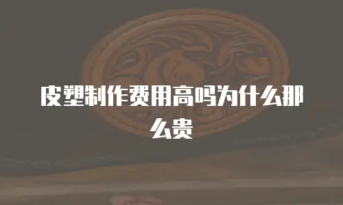 皮塑制作费用高吗为什么那么贵