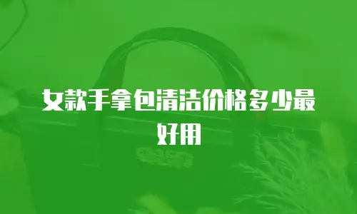 女款手拿包清洁价格多少最好用