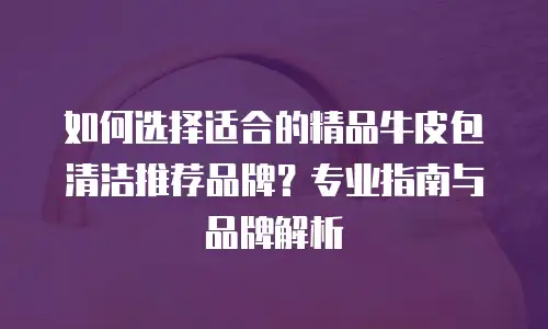 如何选择适合的精品牛皮包清洁推荐品牌？专业指南与品牌解析
