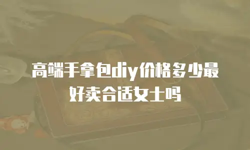 高端手拿包diy价格多少最好卖合适女士吗
