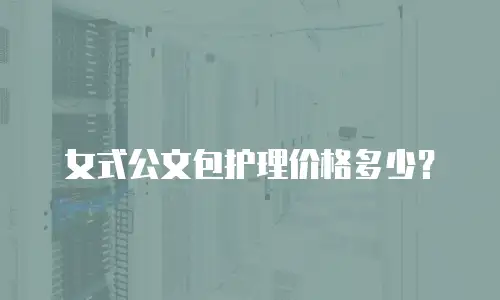 女式公文包护理价格多少？