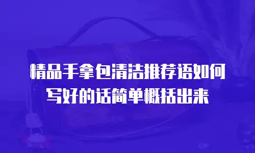 精品手拿包清洁推荐语如何写好的话简单概括出来