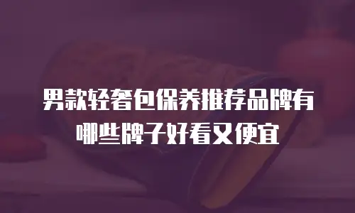 男款轻奢包保养推荐品牌有哪些牌子好看又便宜
