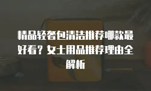 精品轻奢包清洁推荐哪款最好看？女士用品推荐理由全解析