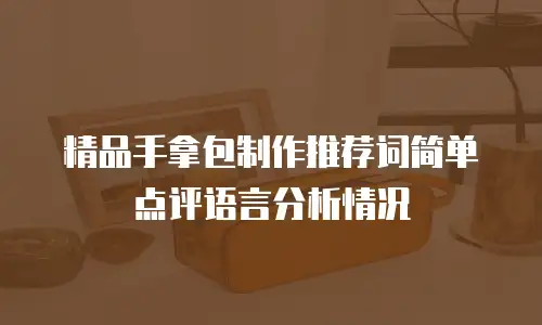 精品手拿包制作推荐词简单点评语言分析情况