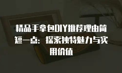 精品手拿包DIY推荐理由简短一点：探索独特魅力与实用价值