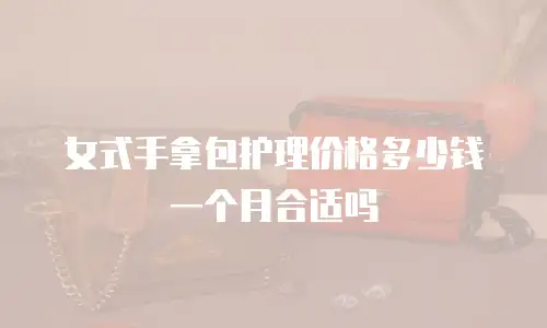 女式手拿包护理价格多少钱一个月合适吗