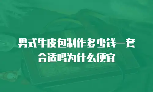 男式牛皮包制作多少钱一套合适吗为什么便宜