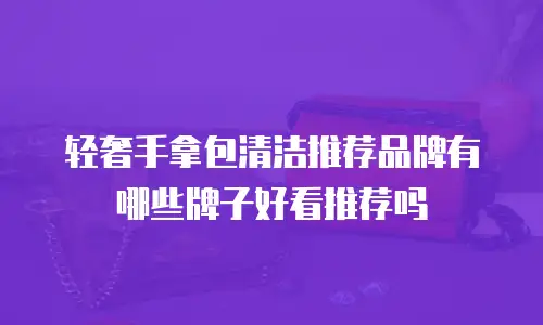 轻奢手拿包清洁推荐品牌有哪些牌子好看推荐吗