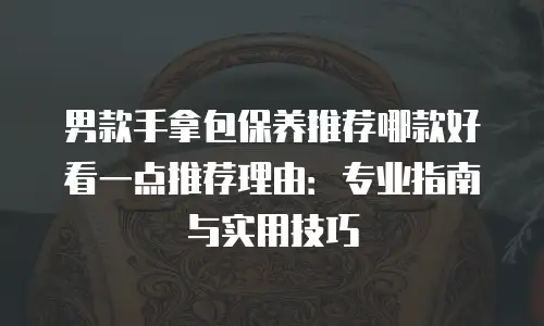 男款手拿包保养推荐哪款好看一点推荐理由：专业指南与实用技巧