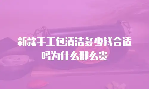 新款手工包清洁多少钱合适吗为什么那么贵  