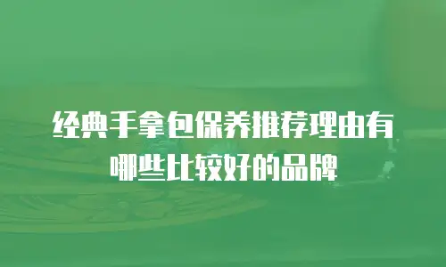 经典手拿包保养推荐理由有哪些比较好的品牌