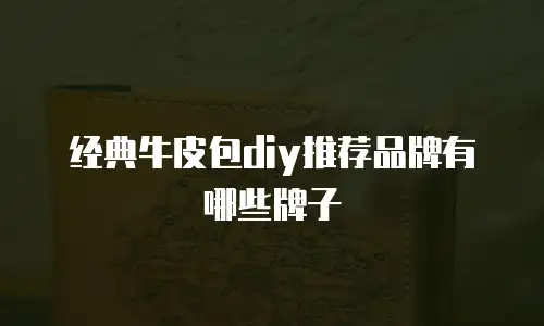 经典牛皮包diy推荐品牌有哪些牌子