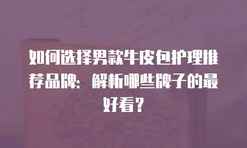 如何选择男款牛皮包护理推荐品牌：解析哪些牌子的最好看？