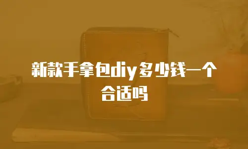 新款手拿包diy多少钱一个合适吗