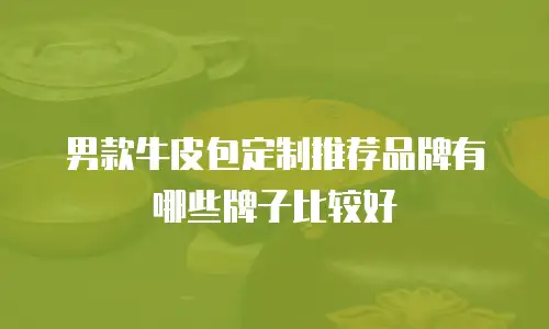 男款牛皮包定制推荐品牌有哪些牌子比较好