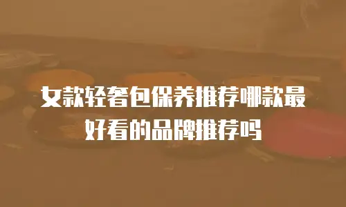 女款轻奢包保养推荐哪款最好看的品牌推荐吗