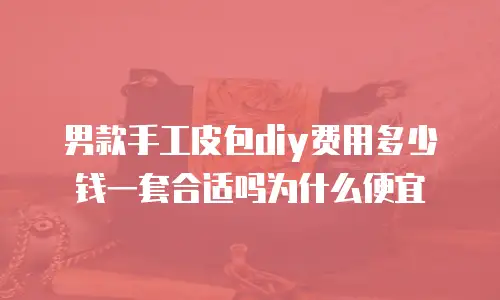男款手工皮包diy费用多少钱一套合适吗为什么便宜