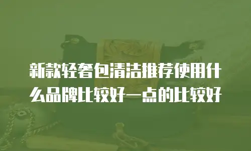 新款轻奢包清洁推荐使用什么品牌比较好一点的比较好