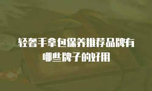 轻奢手拿包保养推荐品牌有哪些牌子的好用