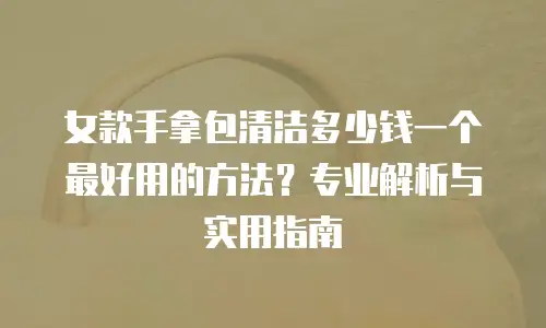 女款手拿包清洁多少钱一个最好用的方法？专业解析与实用指南