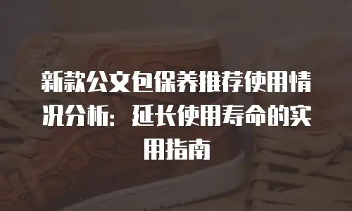 新款公文包保养推荐使用情况分析：延长使用寿命的实用指南