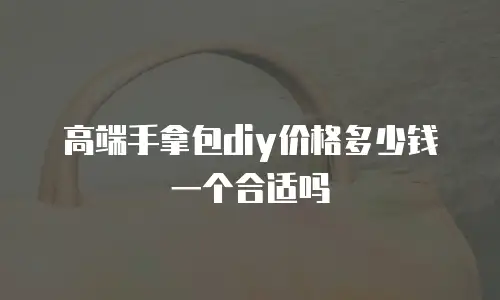 高端手拿包diy价格多少钱一个合适吗
