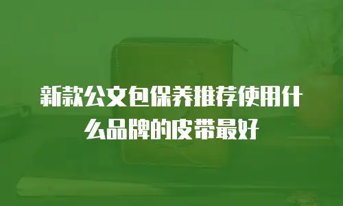 新款公文包保养推荐使用什么品牌的皮带最好