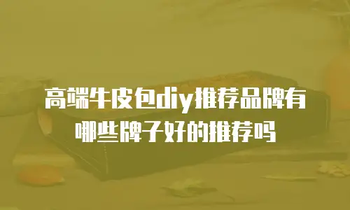 高端牛皮包diy推荐品牌有哪些牌子好的推荐吗