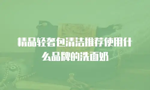 精品轻奢包清洁推荐使用什么品牌的洗面奶