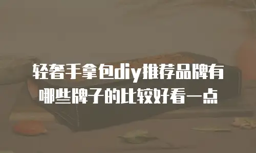 轻奢手拿包diy推荐品牌有哪些牌子的比较好看一点
