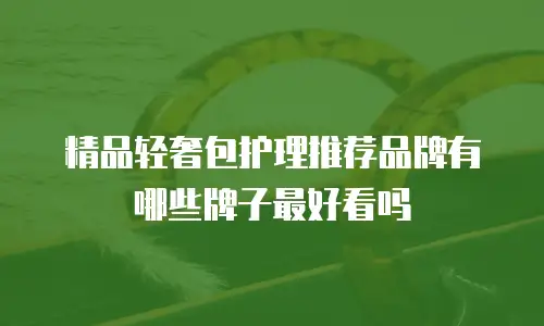 精品轻奢包护理推荐品牌有哪些牌子最好看吗
