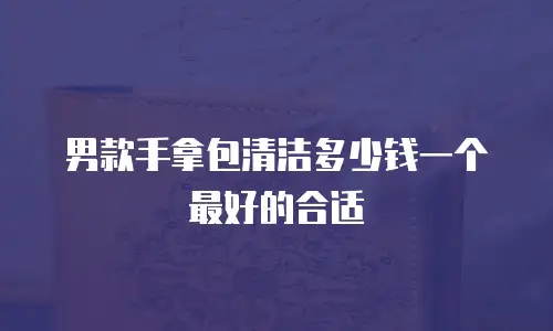男款手拿包清洁多少钱一个最好的合适